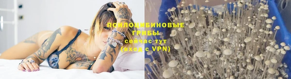 бошки Белоозёрский